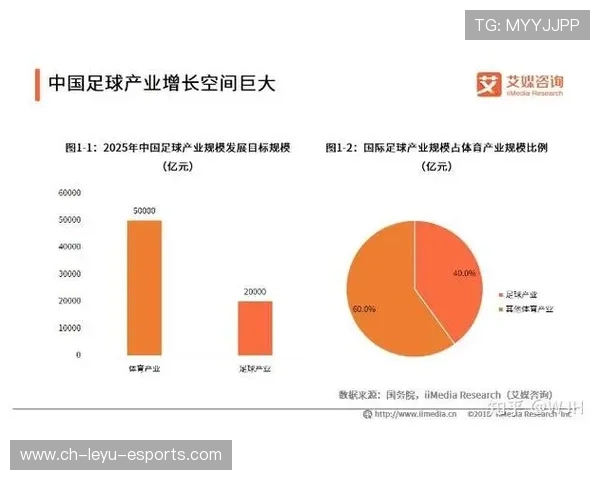 中国足球商业化进程加快赞助商持续增长，中国足球商业化什么时候开始的