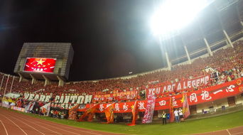 leyu乐鱼在线登录入口-场馆设施翻新完成比赛场地改造计划推进，场馆设计方案