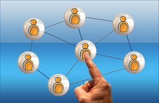 体育新闻中心联合高校开展体育传媒创新创业大赛，体育产业创新创业大赛