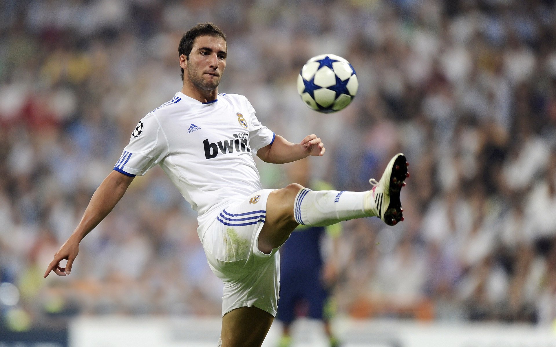 体育赛事观众体验优化，观看体育赛事的价值和意义