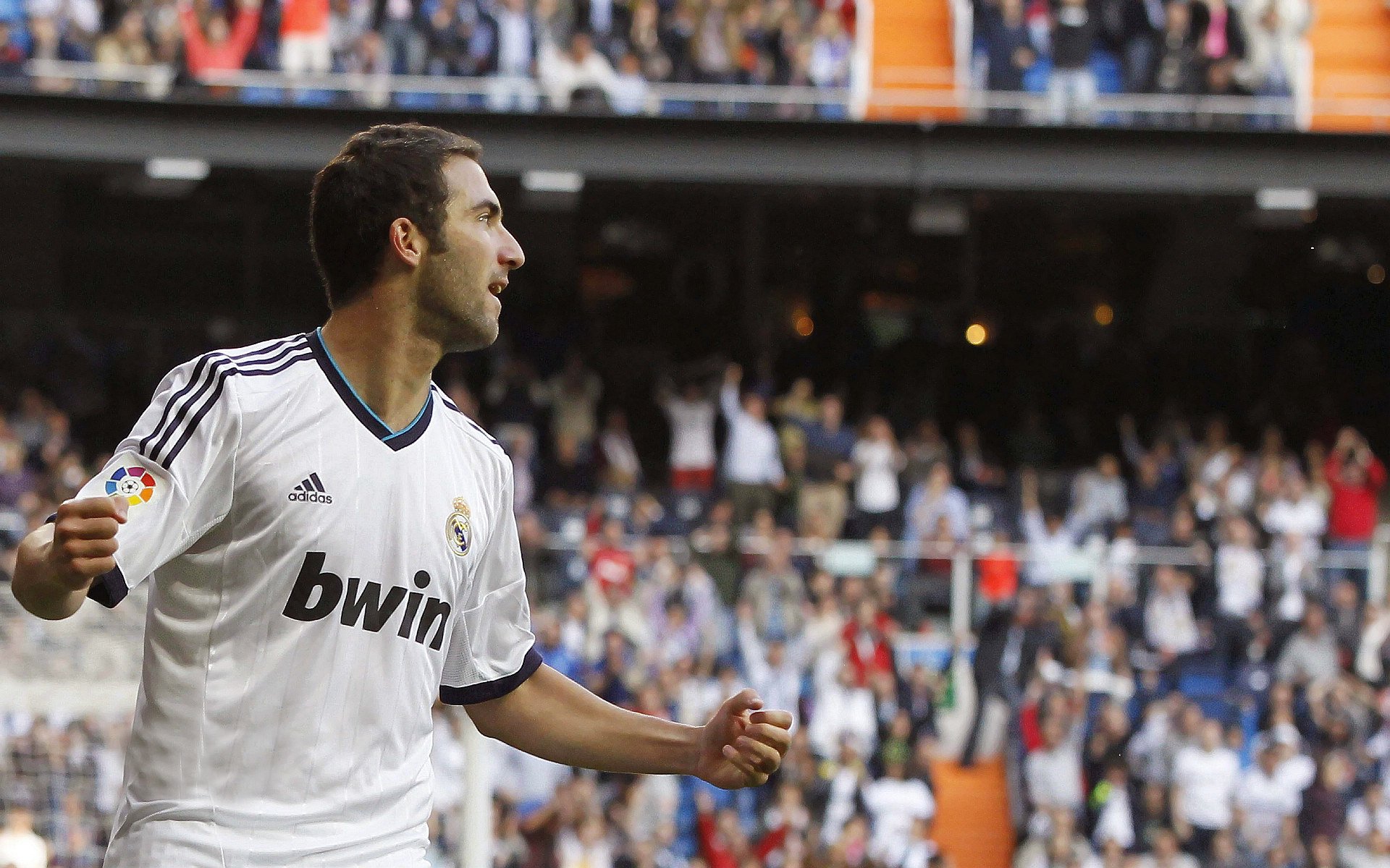 搏击赛场竞争激烈精彩纷呈，搏击比赛介绍