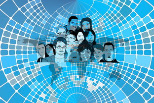 美国队赛制分析：赛制中的人员调整与战术变化，美国队训练赛